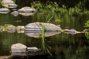 Plan d'eau reflet